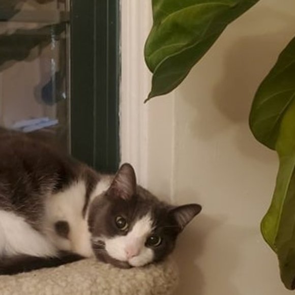 Meet your Posher, Lynn - Picture 1 of 1